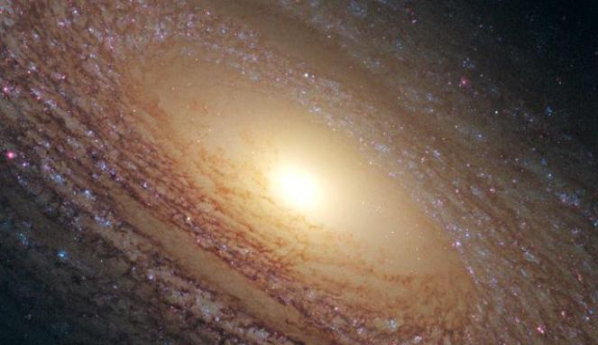 Astronom Tak Sengaja Temukan Galaksi Terbesar Sejagat