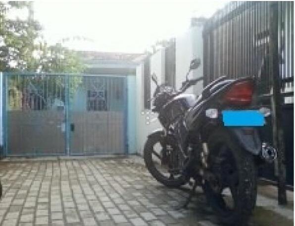 Honda Tiger Revo