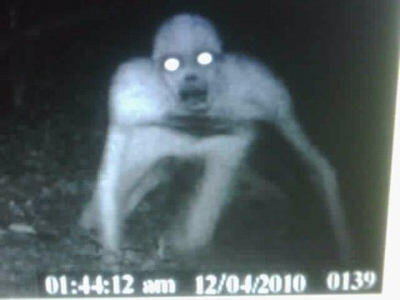MENYERAMKAN foto makhluk misterius yang tertangkap kamera