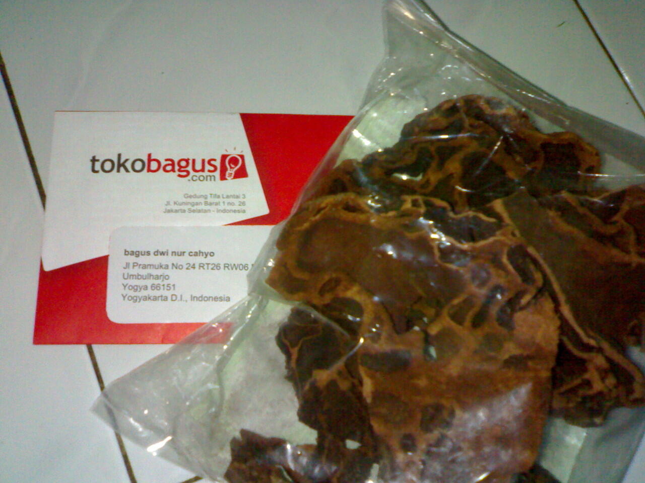 manfaat tanaman herbal Sarang Semut, kanker kalah!!