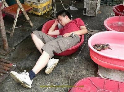 &#91;PIC&#93; POSISI TIDUR PALING KONYOL DI DUNIA