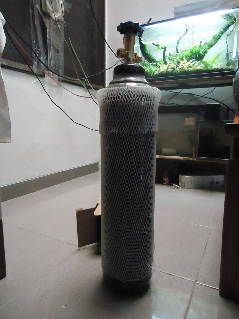 Aquascape &quot;Miniatur Alam dalam Air&quot;