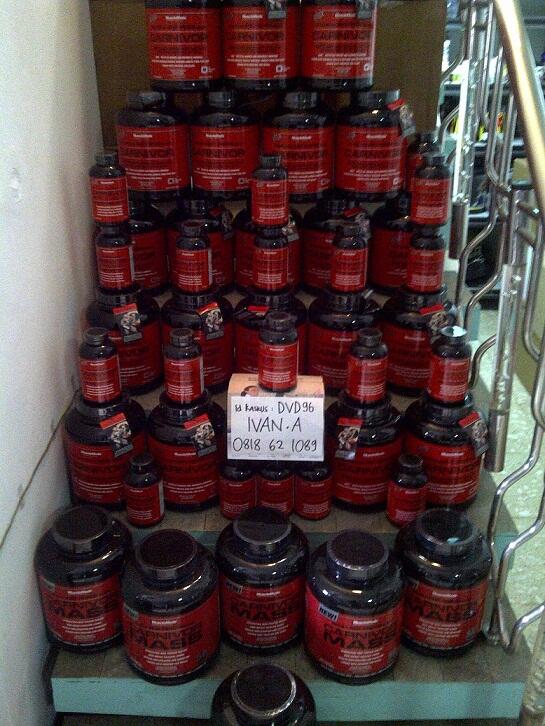 Suplemen fitnes murah promo bulanan