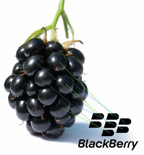 Blackberry tadi nya mau dikasih nama STRAWBERRY loh gan :D &#91;awal mula BB&#93;
