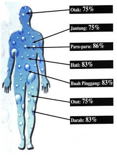 Kiat Agar Otak agan Jadi Lebih Pintar!