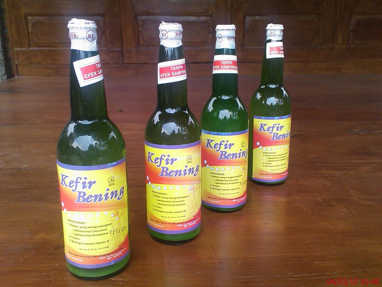 terjual jual kefir bibit kefir kefir grains terjual jual kefir bibit kefir kefir grains