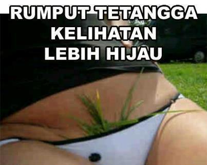 RUMPUT TETANGGA MEMANG LEBIH HIJAU