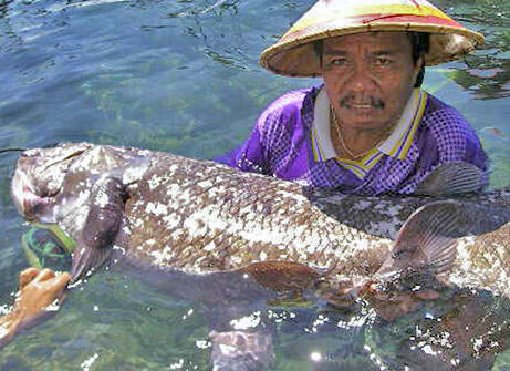 Nasib si ikan purba (Coelacanth)