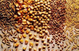 Makanan Berserat Tinggi yang Bikin Jantung dan Pencernaan Sehat