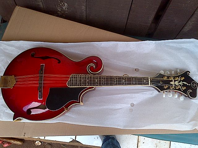 mandolin bagus,,monggo masuk