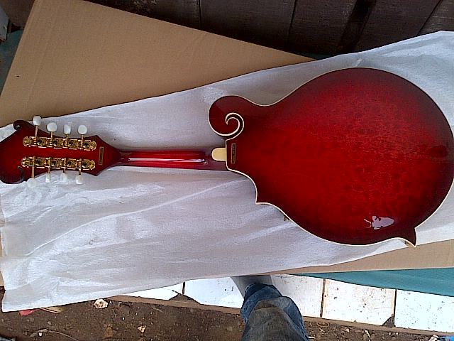 mandolin bagus,,monggo masuk