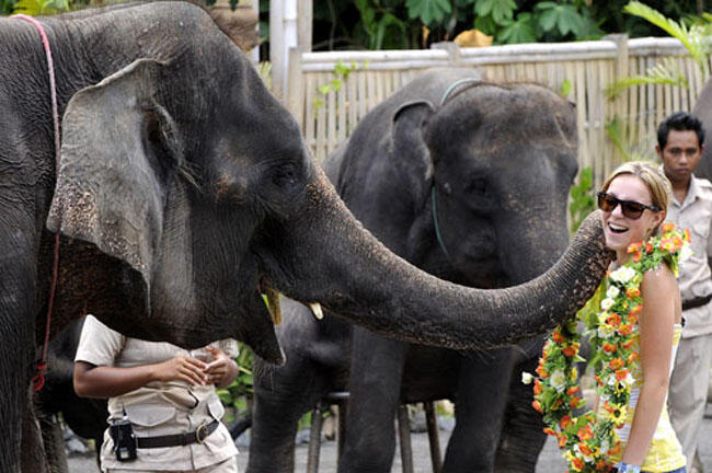 Paket Wisata di Bali 3D2N : Edisi Keluarga !