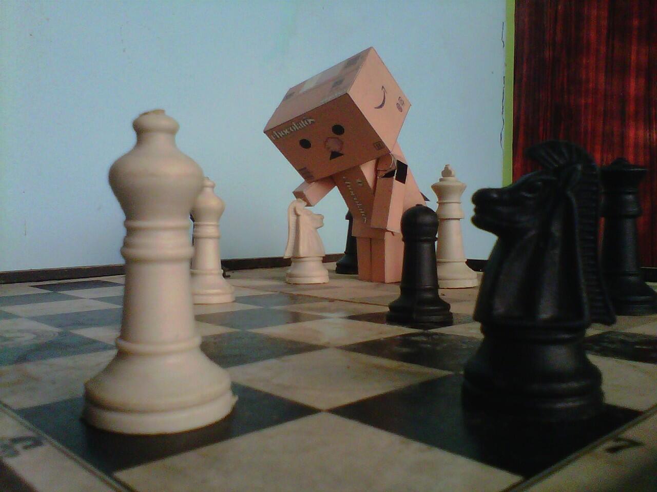&#91;SHARE&#93; Membuat Sendiri Boneka Danbo / Boneka Kardus