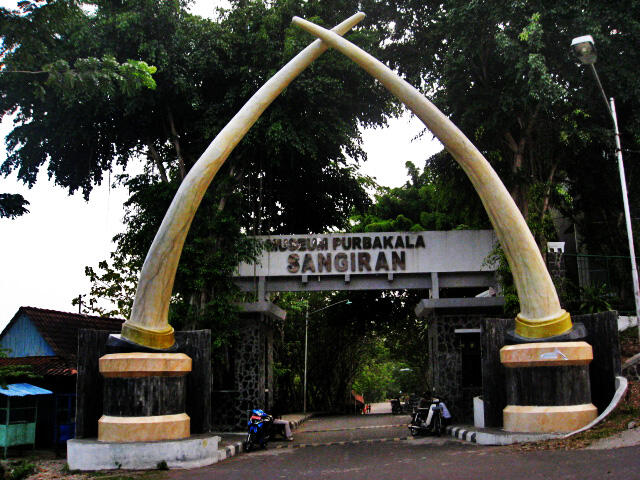 Sangiran, Gudangnya Fosil Purbakala