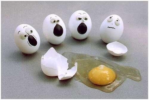 Nasib Akhir Para Telur (Tragis)