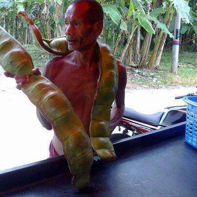 Kumpulan pic kocak ane gan (ga ngakak ane ga mandi sore ini, minimal senyum-senyum)
