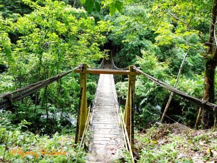 DESA HARATAI,SURGA TERSEMBUNYI DAYAK MERATUS