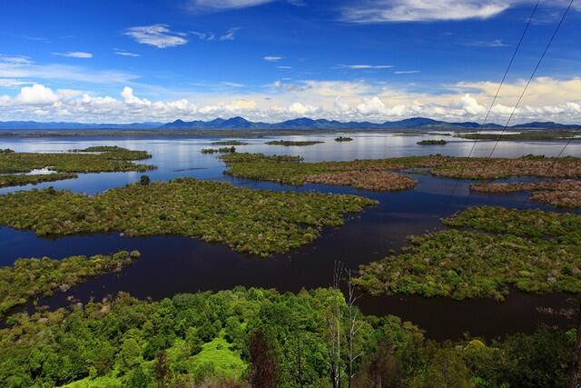 Taman Nasional Danau Sentarum Kalimantan barat, kapuas hulu,,,