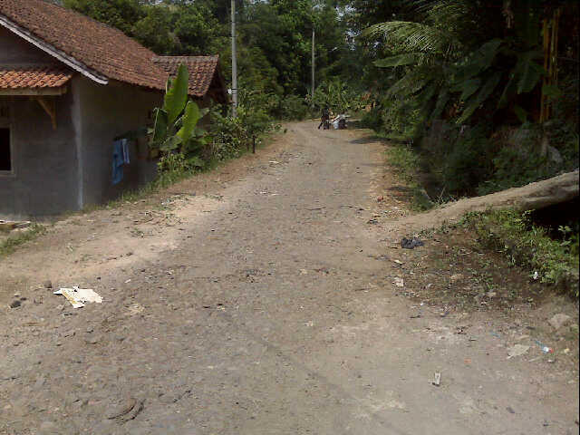 DIJUAL TANAH SAWAH DI DESA SUKAHARJA,CIJERUK, BOGOR (YW19)