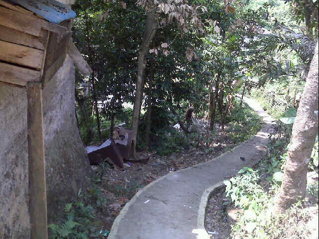 DIJUAL TANAH SAWAH DI DESA SUKAHARJA,CIJERUK, BOGOR (YW19)