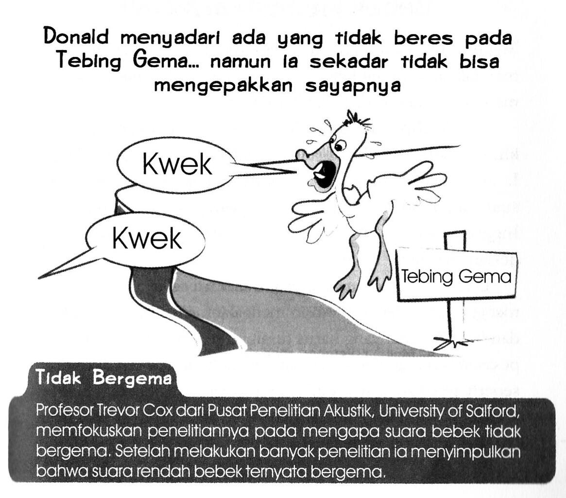 &#91;SAINS&#93; MITOS Tentang Suara Bebek, Apakah Suara Bebek Bergema..???