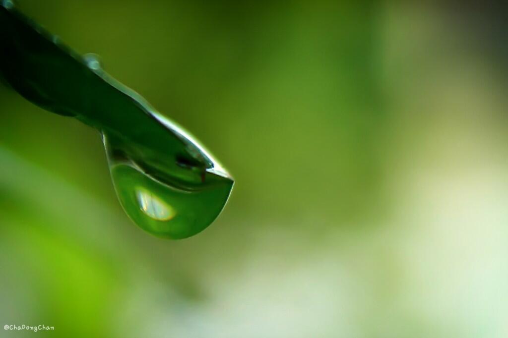 &#91;My Gallery&#93; Fotografer Lanscape, HI, Model newbie.. 