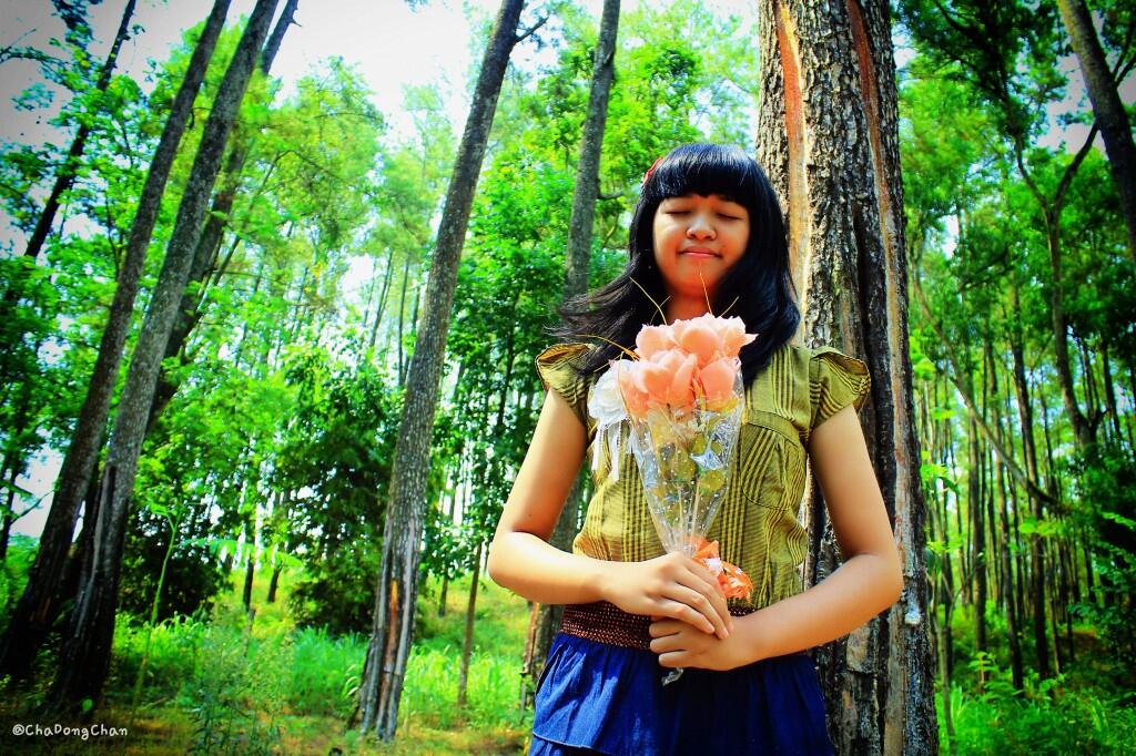 &#91;My Gallery&#93; Fotografer Lanscape, HI, Model newbie.. 