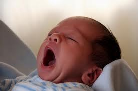 80% Manusia Tertular Akan Hal Ini