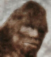 Misteri Monster Penghuni Indonesia