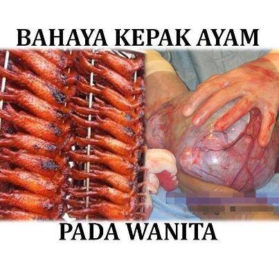 Bahaya bagi WANITA keseringan makan daging Ayam suntik steroid !!!!