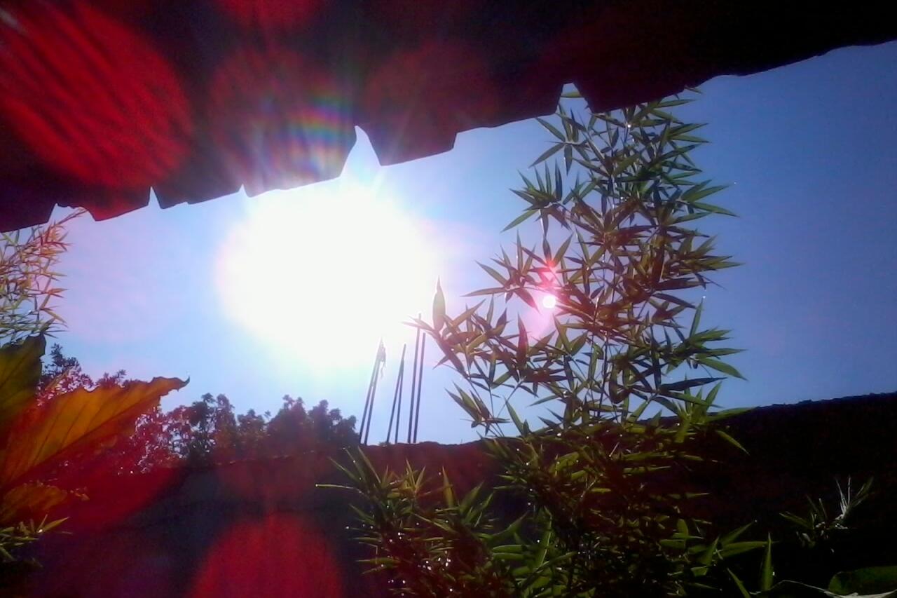 &#91;Must See&#93; Nggak usah pake kamera SLR,Pudding Camera pun jadi!