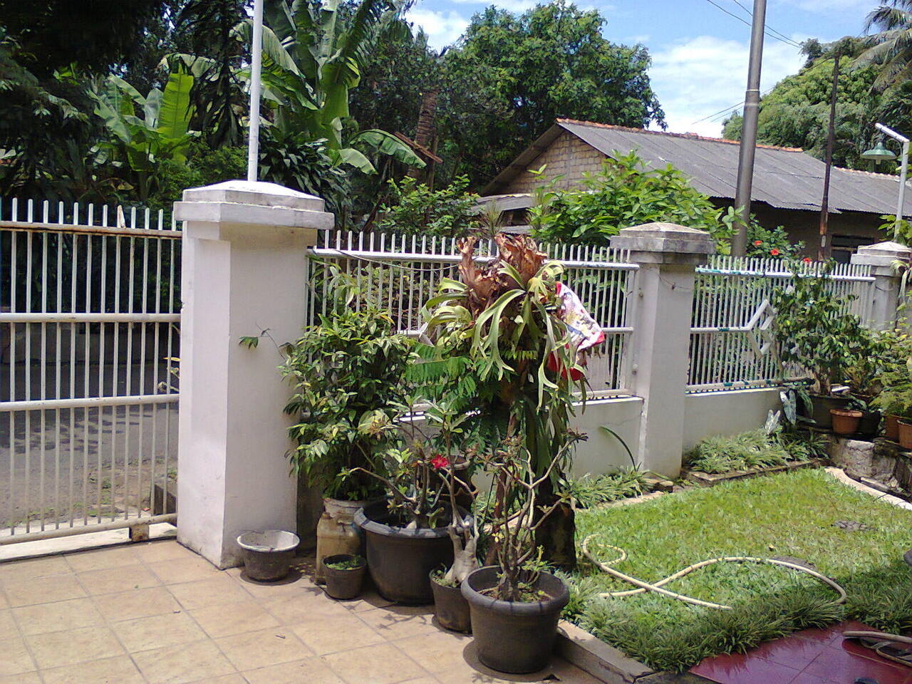 Tempat Tinggal Hommy Punya Lahan Hijau Investasi Oke