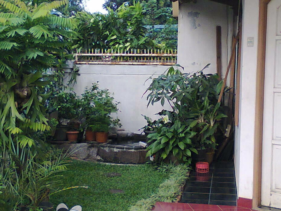 Tempat Tinggal Hommy Punya Lahan Hijau Investasi Oke