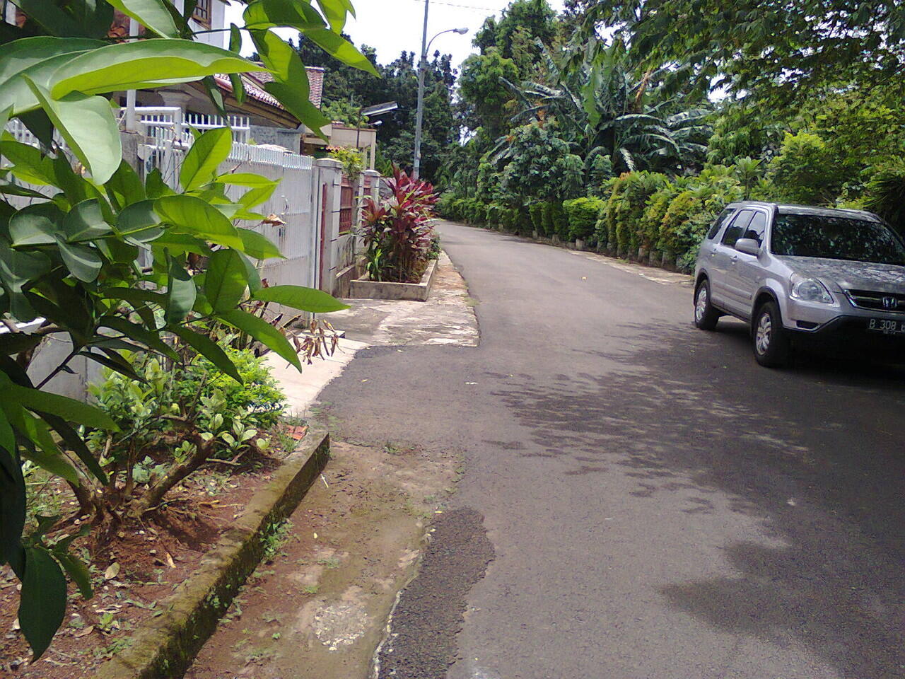 Tempat Tinggal Hommy Punya Lahan Hijau Investasi Oke