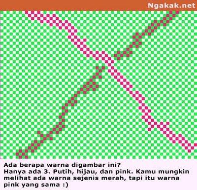 Kumpulan Foto Ilusi Mata yang Menakjubkan