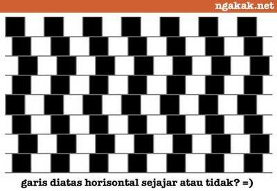 Kumpulan Foto Ilusi Mata yang Menakjubkan