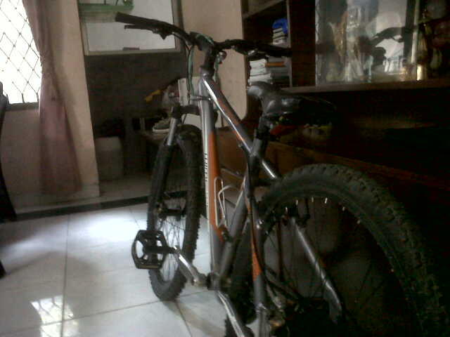 sepeda wim cycle roadtech DX