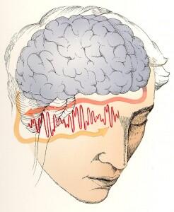 Mengenal sedikit tentang BINAURAL BEATS