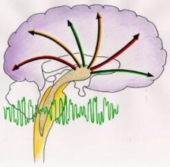 Mengenal sedikit tentang BINAURAL BEATS