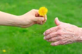 LIMA RAHASIA SEBELUM MATI