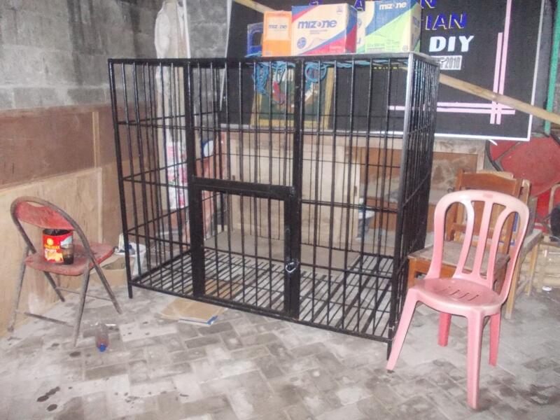 jual cepat husky jantan+kandang