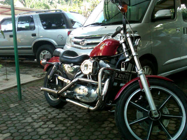 WTS Sportster XL883