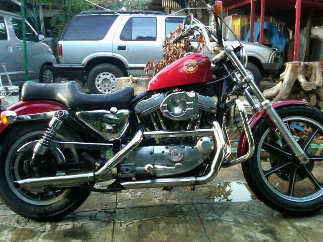 WTS Sportster XL883