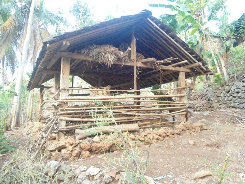 Gunung kidul, Kampung halamanku &#91;+PICT&#93;