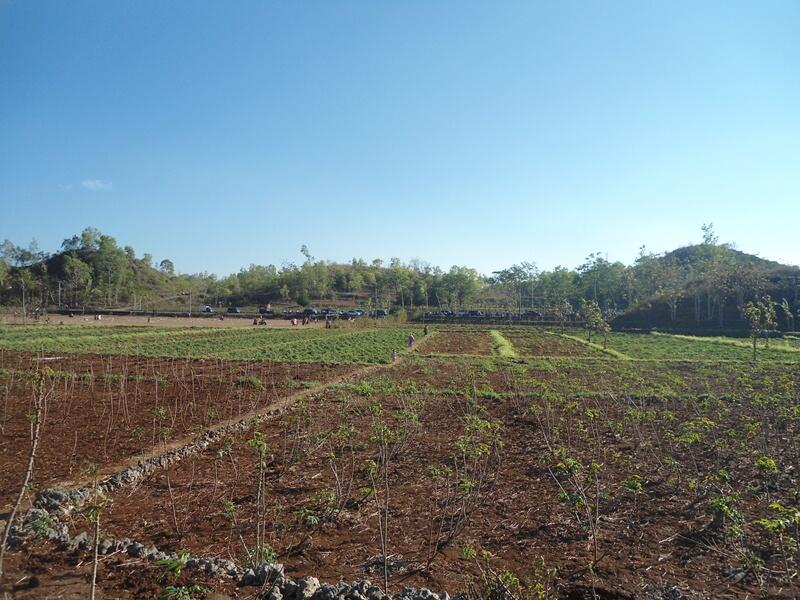 Gunung kidul, Kampung halamanku &#91;+PICT&#93;