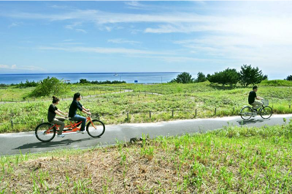 Hitachi Seaside Park, surga bunga di Jepang