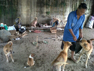 Gelandangan dan Belasan anjingnya di Banjir Kanal Semarang (Dog,Animal Lovers masuk!)