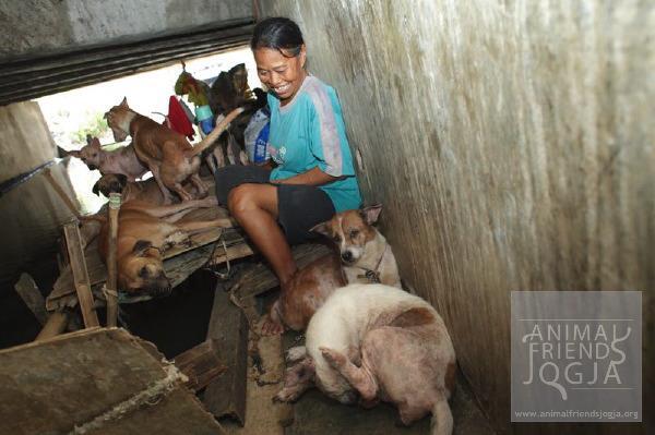 Gelandangan dan Belasan anjingnya di Banjir Kanal Semarang (Dog,Animal Lovers masuk!)