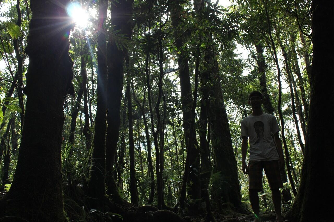 &#91;CATPER&#93; Gede-Pangrango (16-18 Mei 2012)