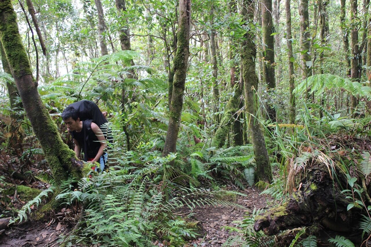 &#91;CATPER&#93; Gede-Pangrango (16-18 Mei 2012)